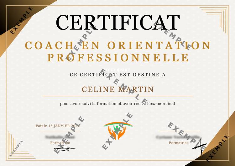 Formation à distance Coach en Orientation Professionnelle