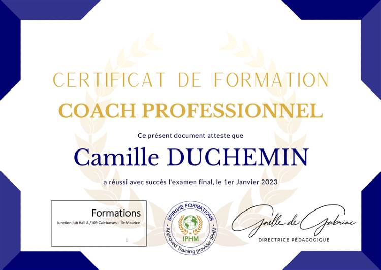 certificat en coaching professionnel à distance en ligne