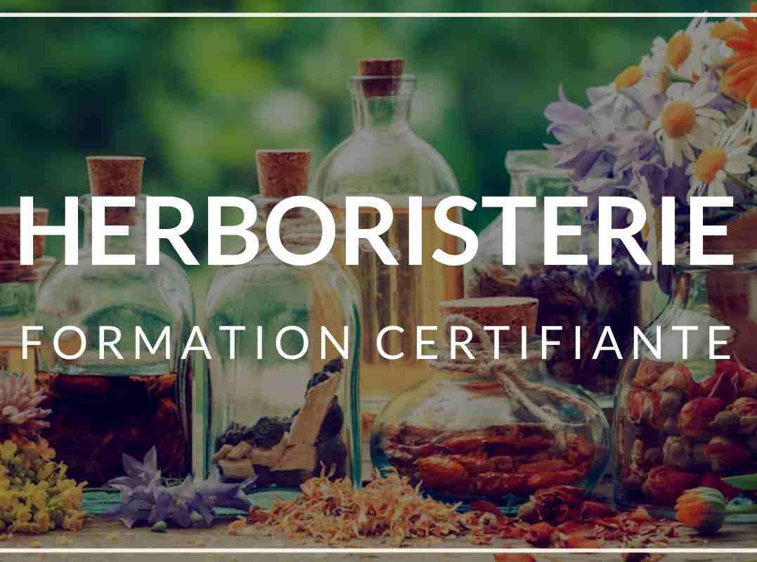 Formation en ligne en herboristerie