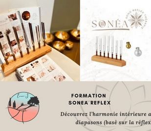 Formation Sonea Reflex