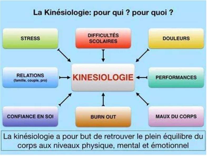 Kinésiologie Niv. 1 – Formation Soin De Santé