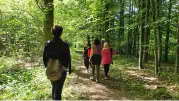Marche méditative en forêt, selon la tradition du Village des Pruniers