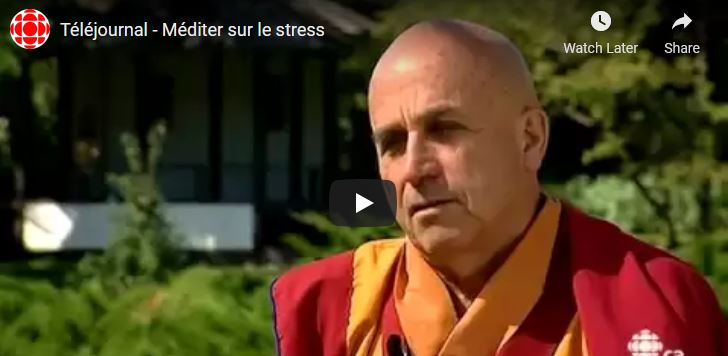 Méditer sur le stress avec Matthieu Ricard